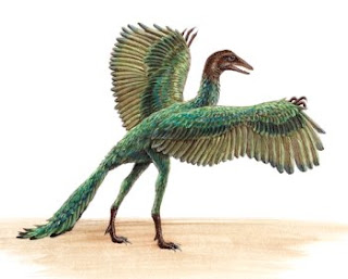 à¸œà¸¥à¸à¸²à¸£à¸„à¹‰à¸™à¸«à¸²à¸£à¸¹à¸›à¸ à¸²à¸žà¸ªà¸³à¸«à¸£à¸±à¸š Archaeopteryx à¸à¸´à¸™à¸­à¸°à¹„à¸£