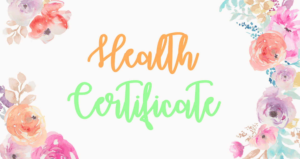 Getting a Health Certificate / Health Card from Quezon City Hall (2016