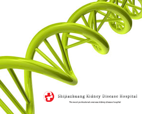 3. 食物繊維をもっと摂る