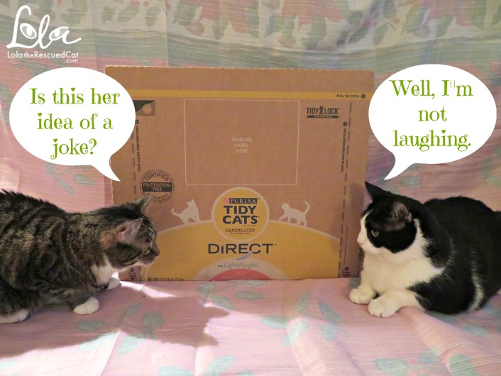 tidy cats direct