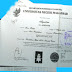 Ijazah Pns Mulai Di Verifikasi Di Bkd