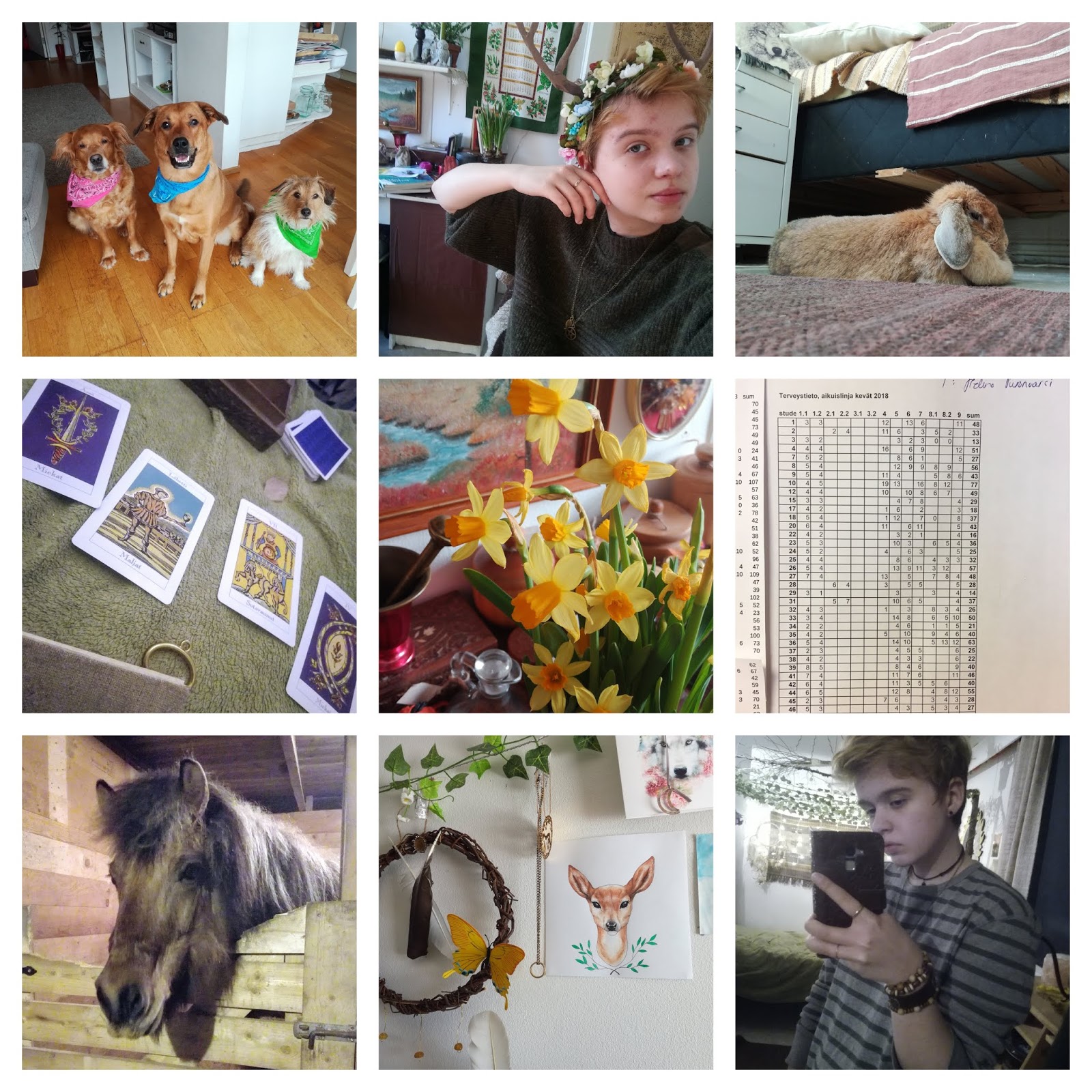 Musta penis porno video