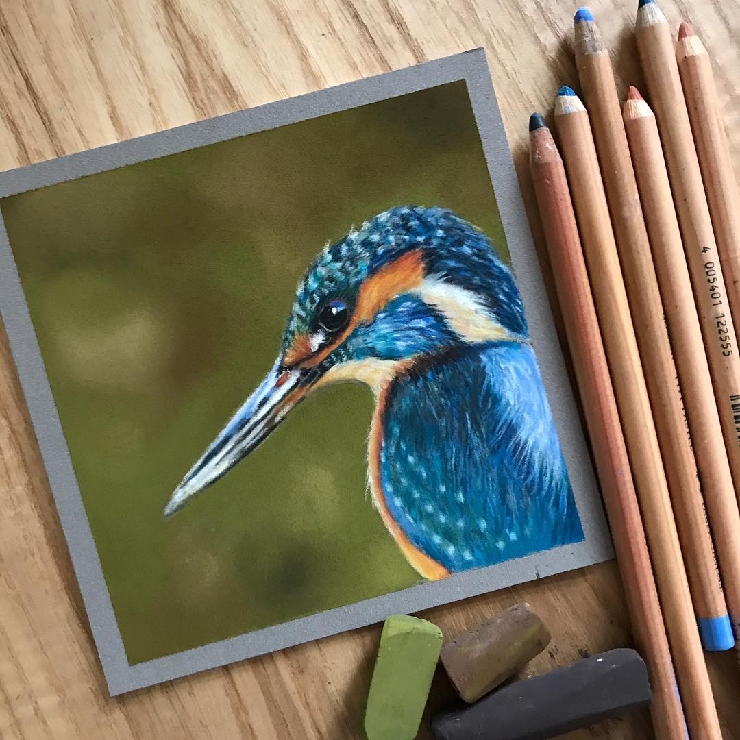 Perching Anna's Hummingbird 5x7 Print - Native California Wildlife, Wa –  Coyote Brush Studios, image size:1080x1080
