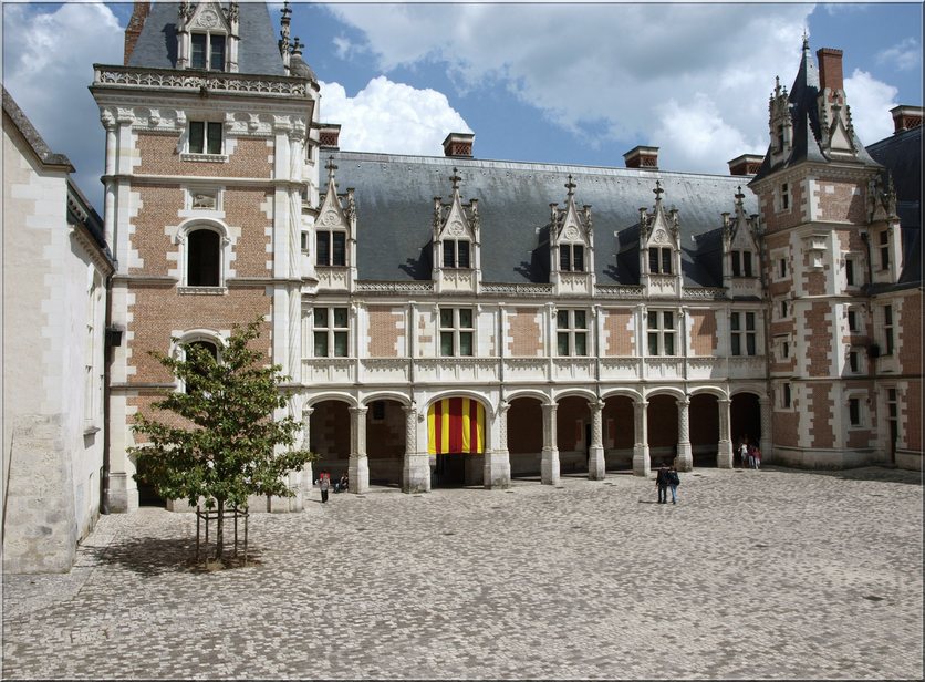 LE MONDE DE CARMINE: LE CHATEAU ROYAL DE BLOIS