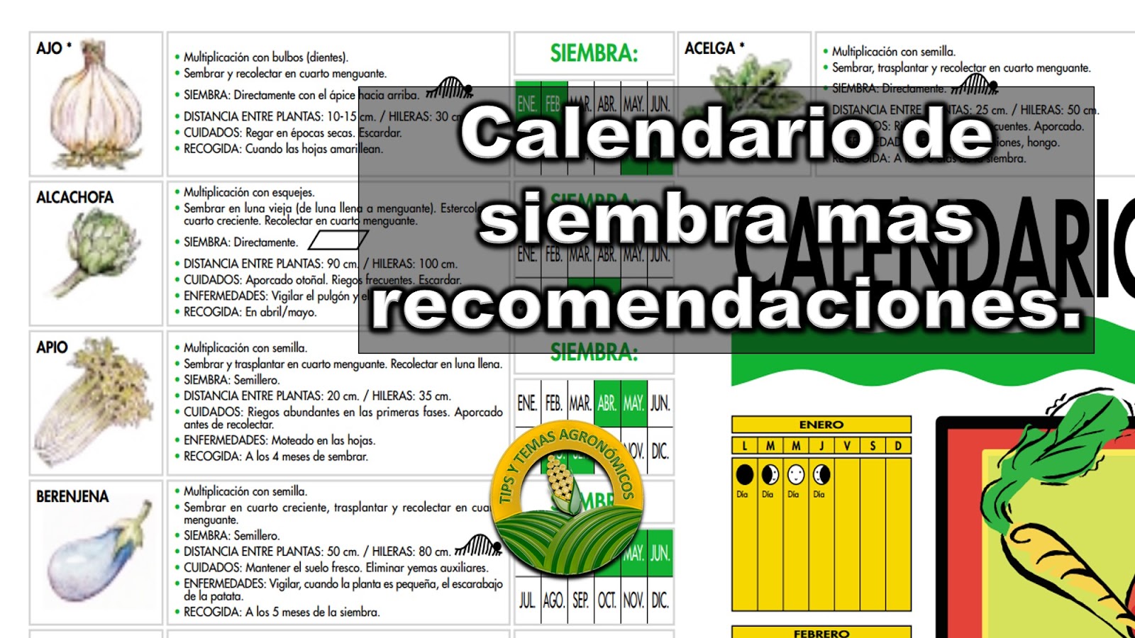 Calendario de noticias forex