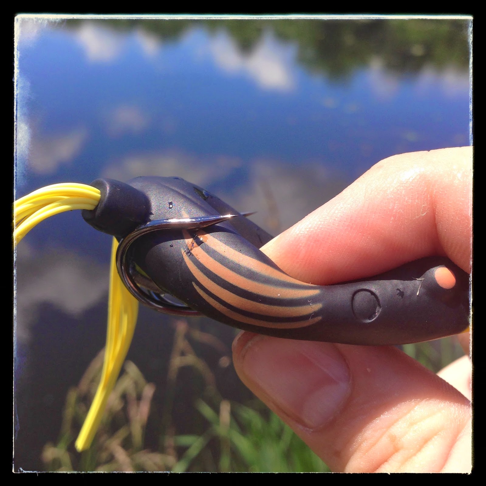 Bass Junkies Frog Pond Teckel USA Whacker Frog Review