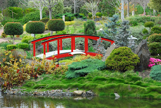 Jardín japonés con flores, plantas y un puente...