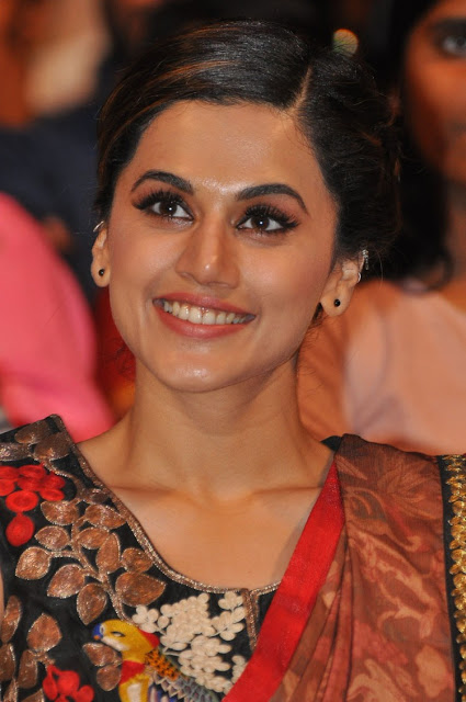 aapsee stills at anando brahma pre release event%2B%252815%2529