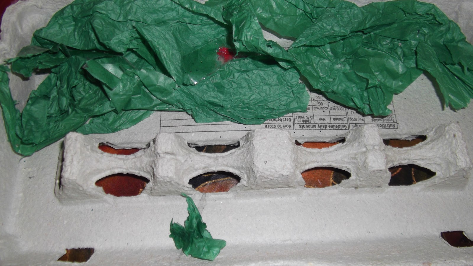 delivering grace Garden world using an egg carton