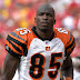 Chad Ochocinco