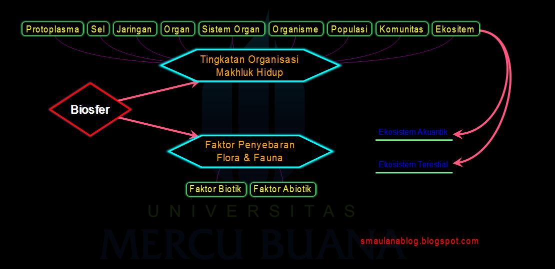 Kimintekhijau Com Biosfer