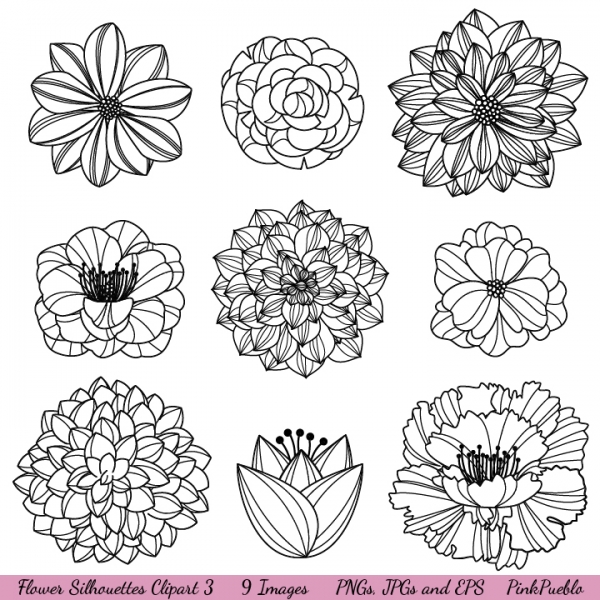 Flowers drawings