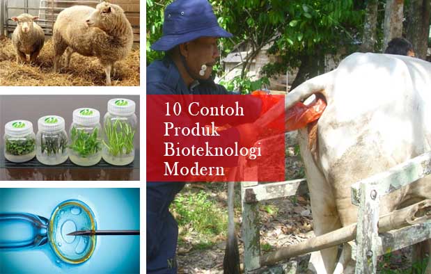 Bioteknologi Modern : 10 Contoh Produk dan Penerapannya