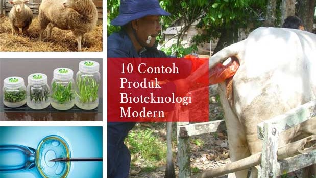 Pemanfaatan Mikroorganisme Dengan Bioteknologi Modern Di Bidang Kedokteran Blogpunyabianca