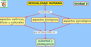 Mapa conceptual aspectos de la sexualidad humana: