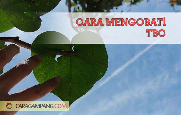 Cara Mengobati TBC Cara Mengobati TBC