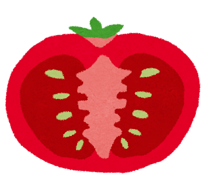 トマトの断面のイラスト