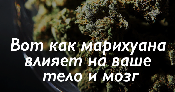 Как обезболивает марихуана браузер тор русском с официального сайта hidra