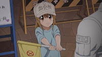 The Platelets