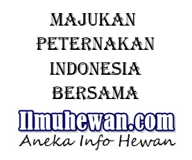 Majukan Peternakan Indonesia Bersama IlmuHewan.com <img src="https://2.bp.blogspot.com/- i4OKjRckBWg/V0JQiZpWcmI/AAAAAAAABP0/lV_UwOBZurkfmhv2- kcaDgehgXGPDNc6ACLcB/s1600/majukan%2Bpeternakan %2Bindonesia%2Bbersama%2Bilmuhewan.png" title="Majukan Peternakan Indonesia Bersama IlmuHewan.com" alt="Majukan Peternakan Indonesia Bersama IlmuHewan.com">