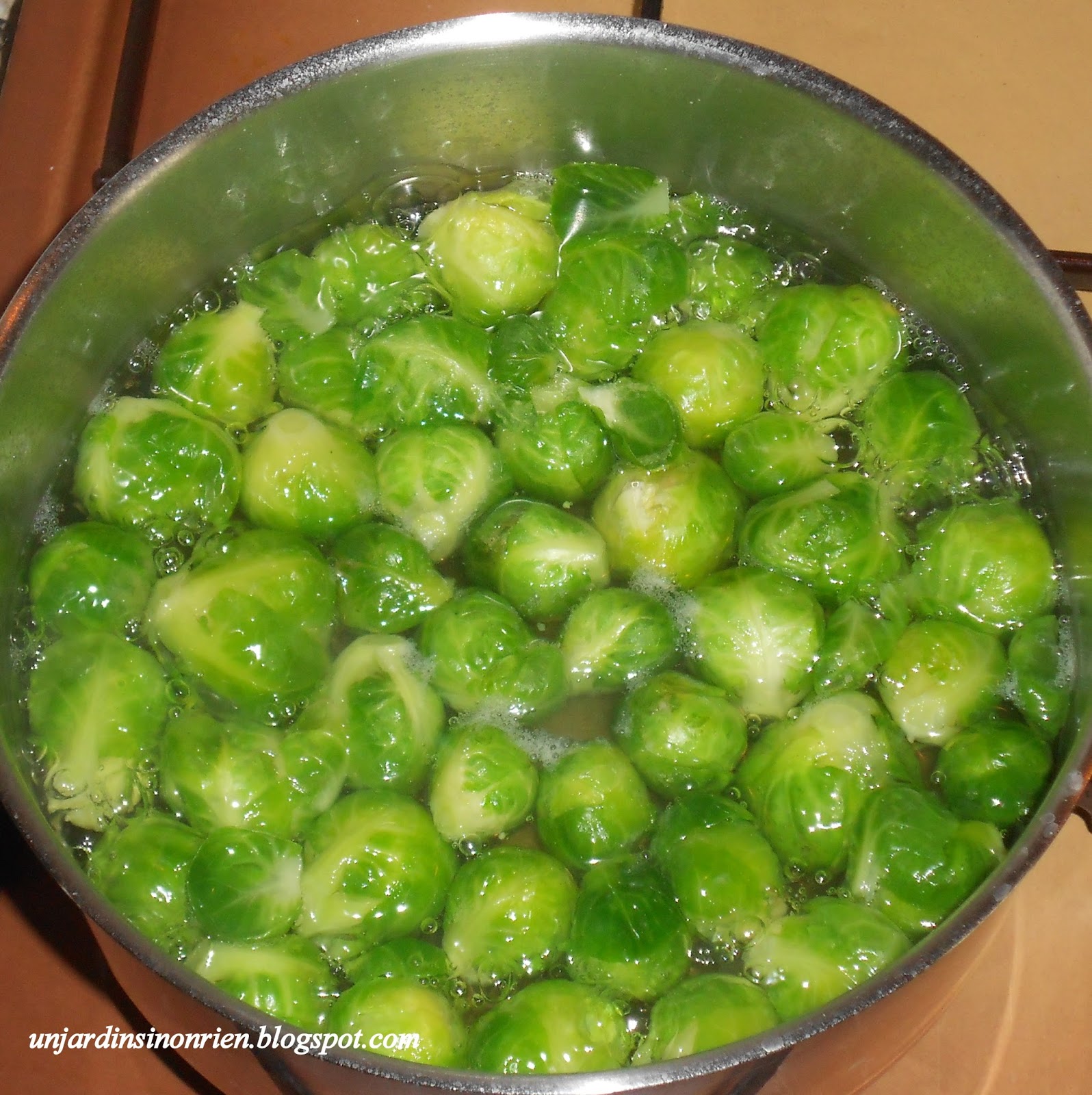 Un jardin sinon rien Congélation des choux de Bruxelles
