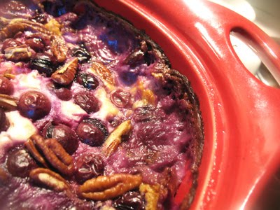 blue grape oatmeal breakfast pudding