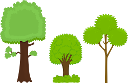 tree trees cartoon clipart park cliparts clip short trunk transparent background forest branches bark branch clipartpanda camp summer morning attribution