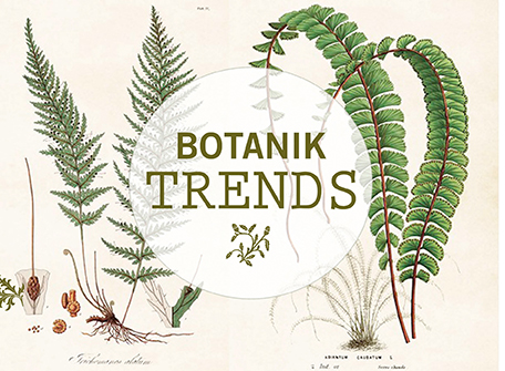 https://www.shabby-style.de/trends/modern-botanic