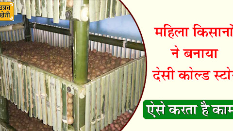 महिला किसानों ने बनाया देसी कोल्ड स्टोर, ऐसे करता है काम