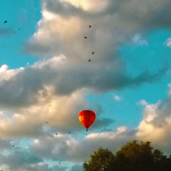 Sattusin vahelduseks maale