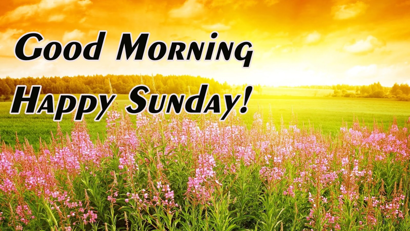 Lovable Images: Good Morning Sunday Wallpapers Download || Sunday ...