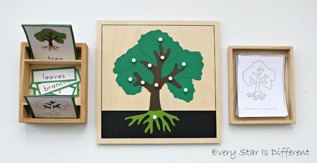 Parts of a tree learning activities and free printables.