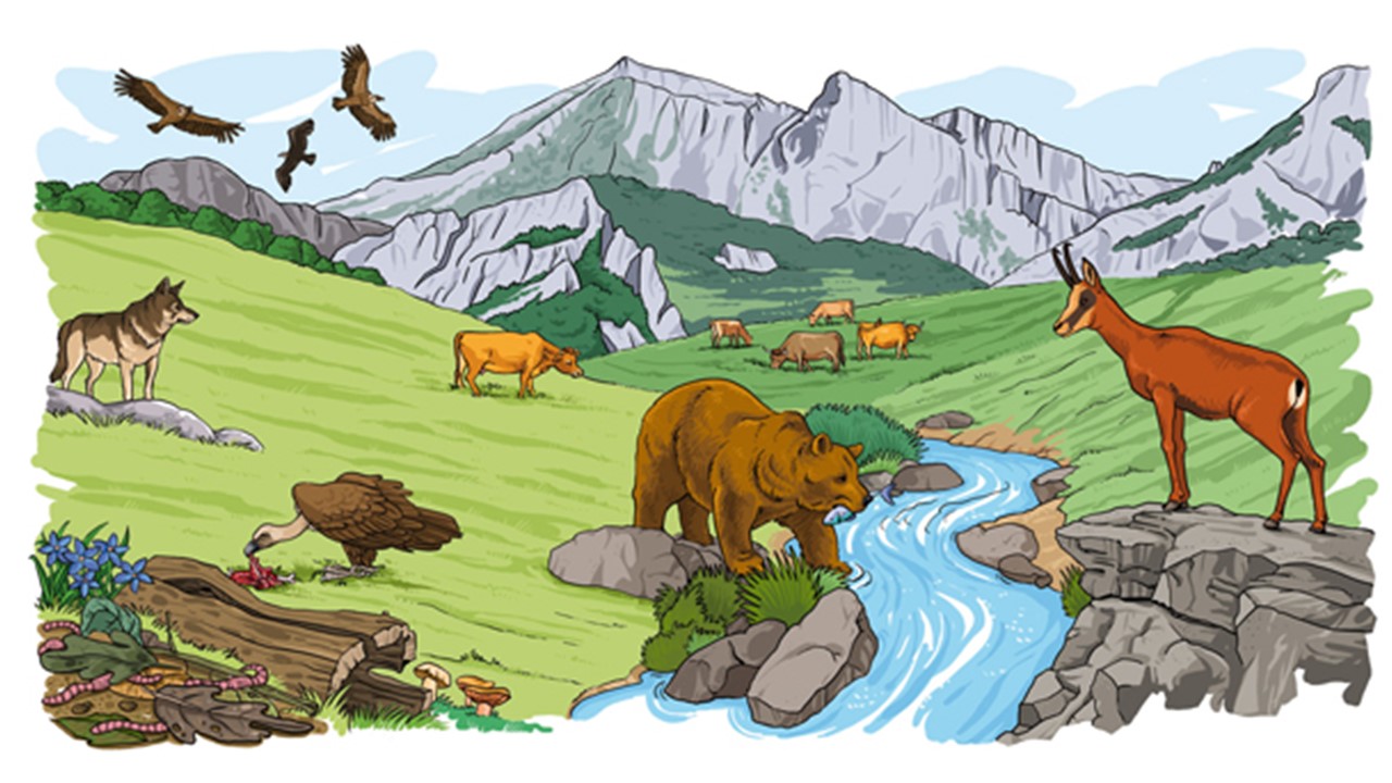 Conociendo los seres vivos GENERALIDADES - Diapositiva1.JPG