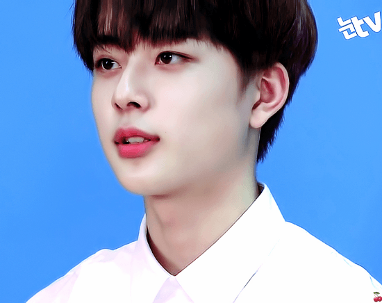 큐브가 각잡고 영업하는 프듀 유선호 근황.jpg | 인스티즈