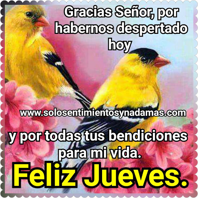 Feliz jueves.