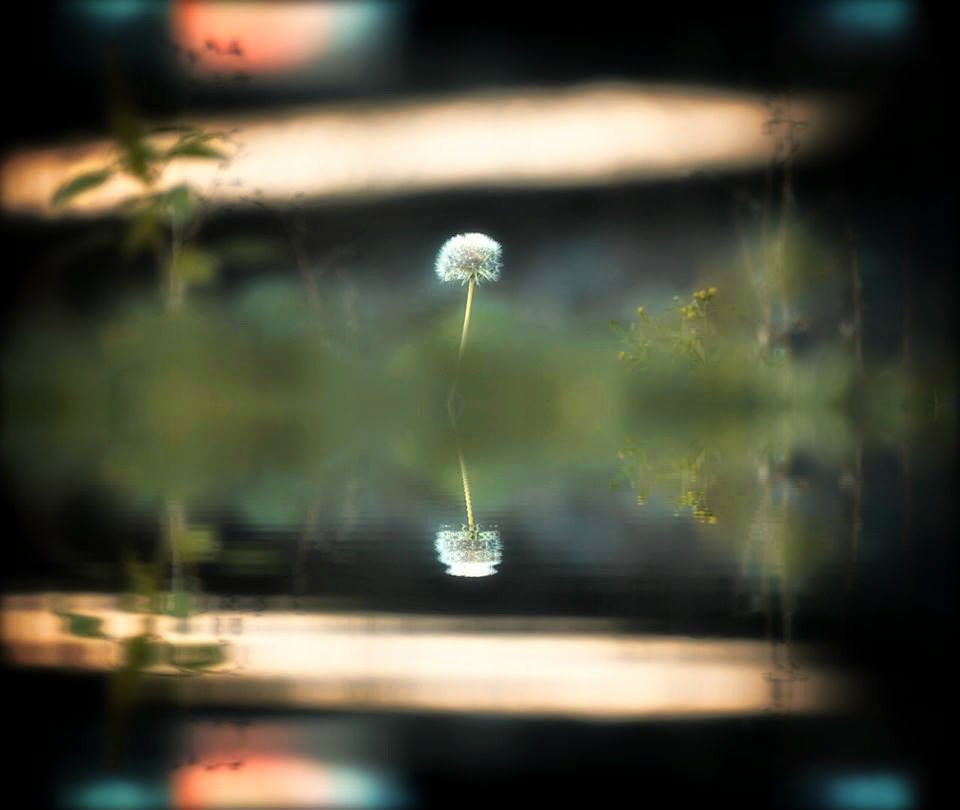 Gedichte Unter Der Laterne April 2015