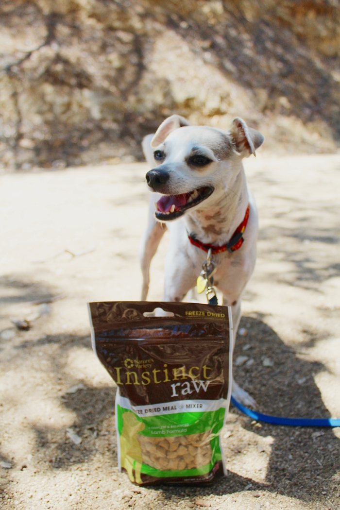 HAPPYHAZEL Happy Reviews Instinct Raw Freeze Dried Dog Food! Review!