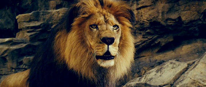 Zookeeper full movie 123 movies