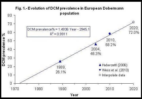 Impactul DCM-ului la doberman (65 din 100 de dobermani mor tineri in 2016 de DCM)