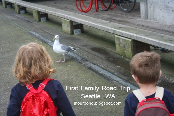 Seattle Road Trip with 3 Under 4 from In Our Pond  #roadtrip #travel #seattle #pacificnorthwest #aquarium #familytravel #travelwithkids #toddlers #preschoolers #travelwithtoddlers