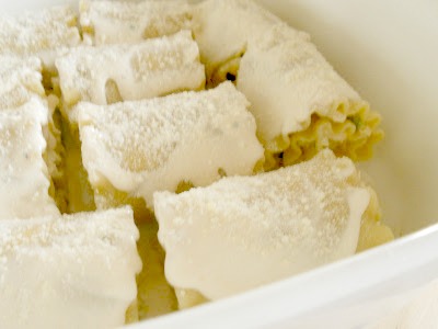 Ally S Sweet Savory Eats Chicken Alfredo Lasagna Roll Ups