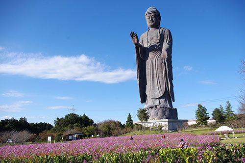 THE TALLEST STATUE OF THE WORLD