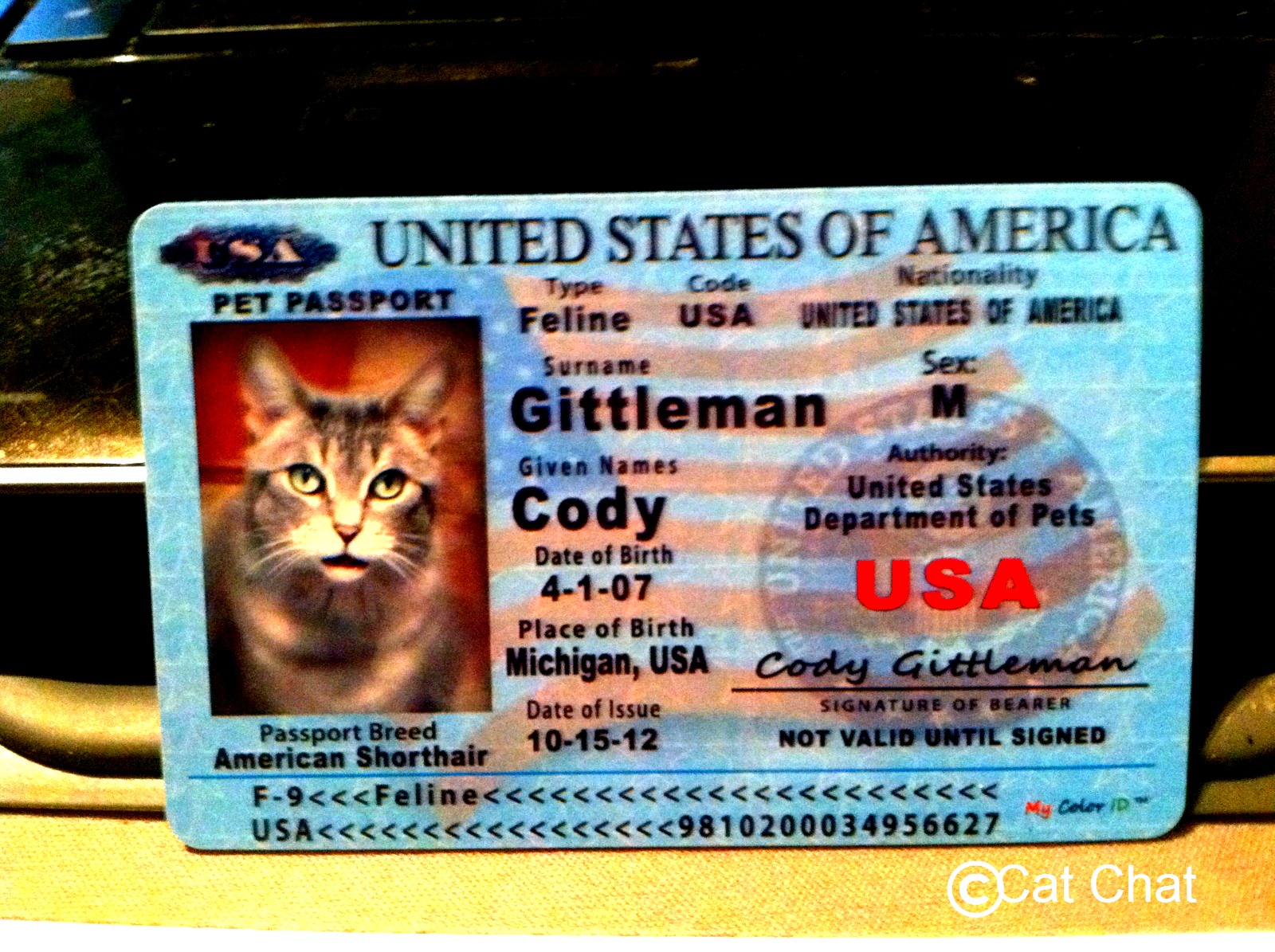 Cat and DOG Chat With Caren A Passport to NowhereSemi "Wordy" Wednesday