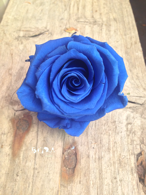 rosa azul par ramo de novia