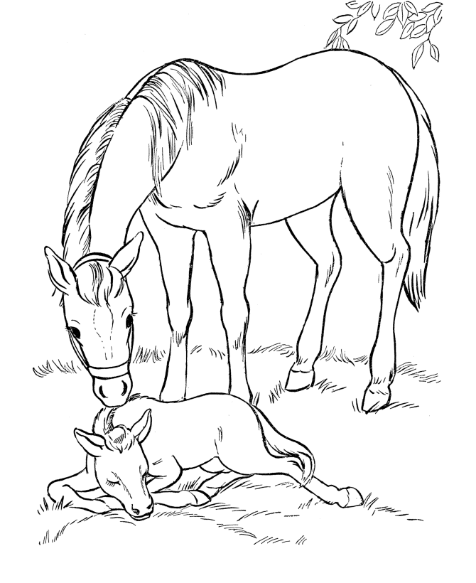 free coloring pages online horses - photo #33