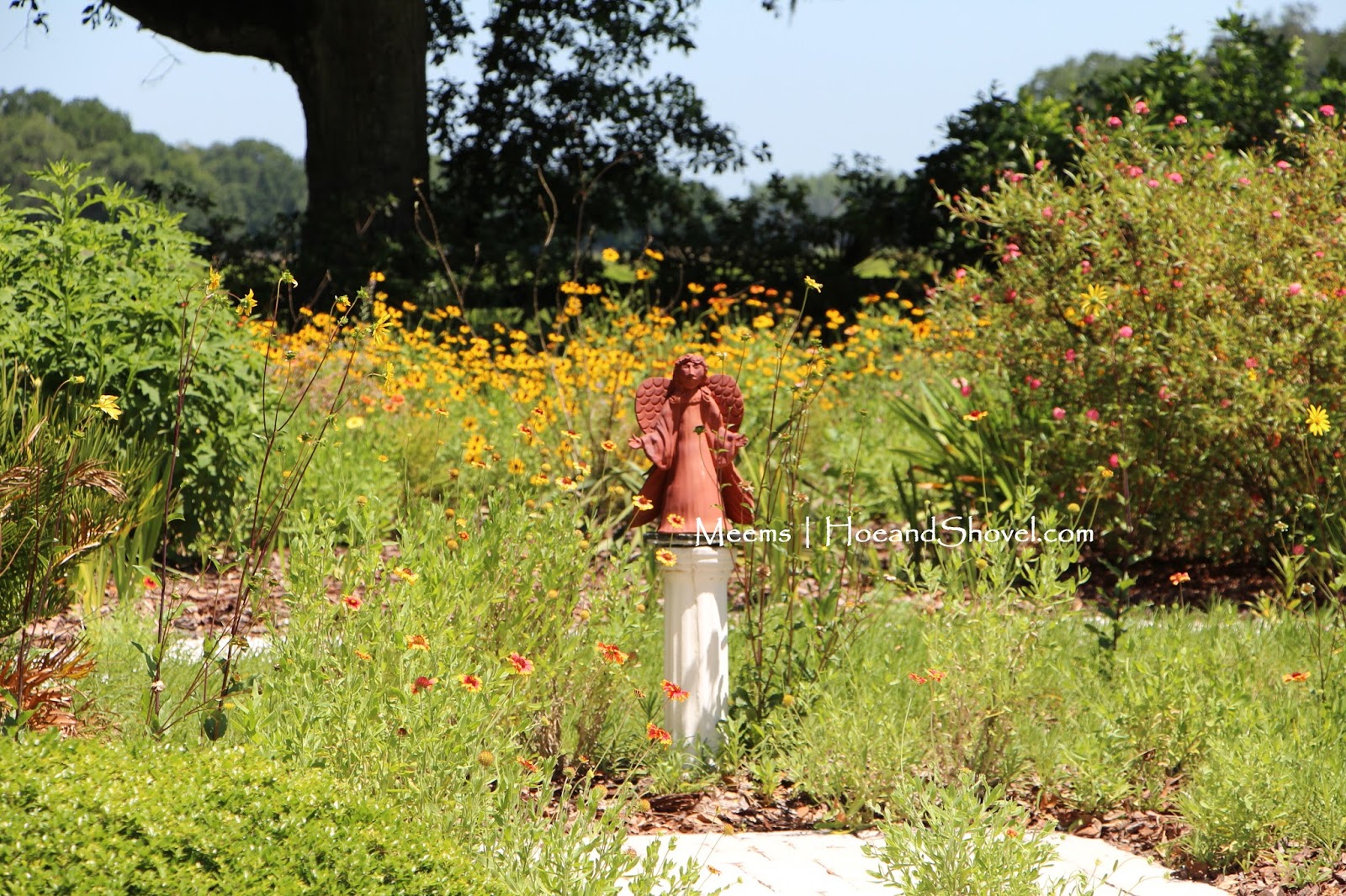 Hoe and Shovel: A Florida Wildflower Garden
