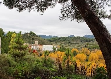 Vista de Benilloba des de Les Forques.