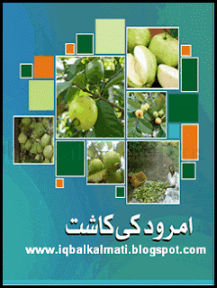 Guava (Amrood) Cultivation Booklet in Urdu