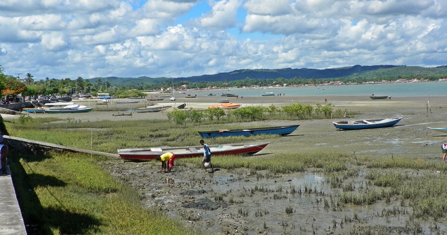 Maré de Saberes Salinas da Margarida Maré de Saberes / Salinas da