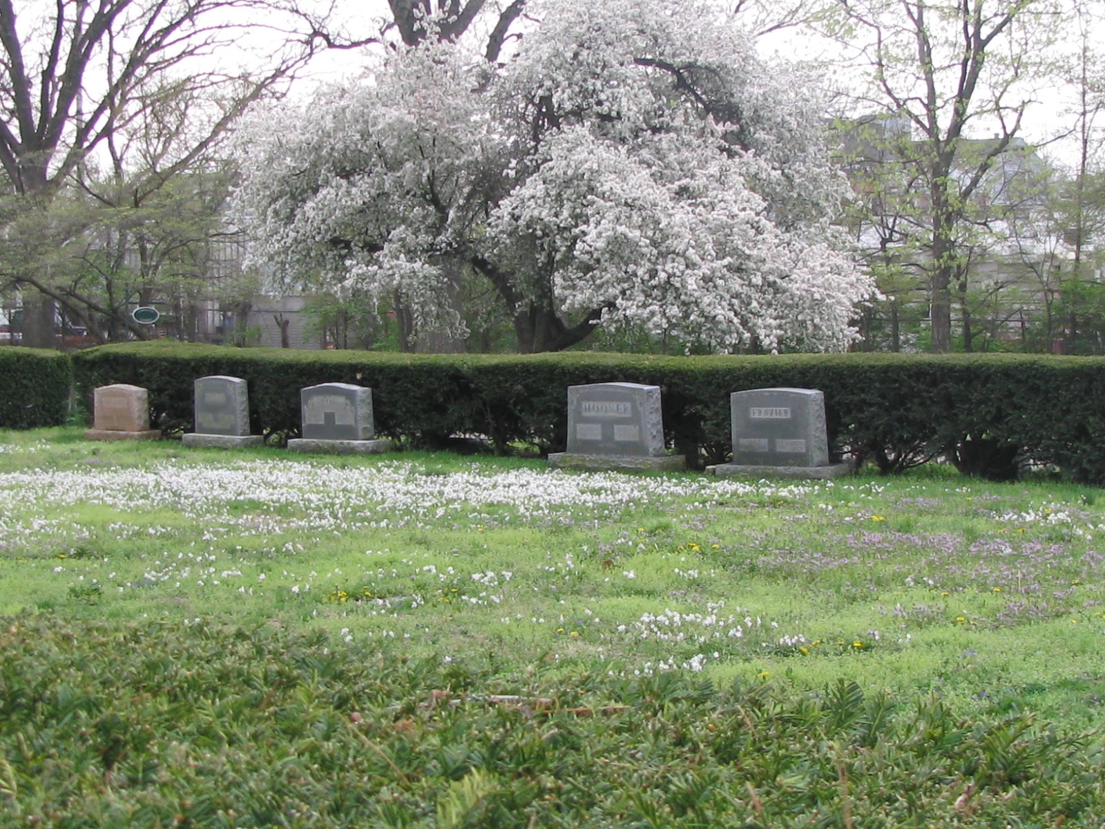A Grave Interest Cemeteries Worth the Visit Lexington Cemetery